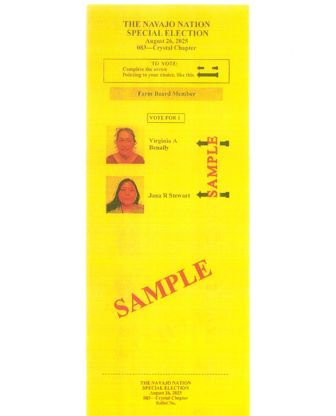 FB Election yellow flyer